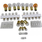 25-110315-1 Corvette Light Bulb Set Eckler