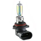25-129690-1 Corvette Headlight Watt Low Beam High Intensity Plus Blue Eckler