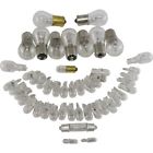 25-190735-1 Lectric Limited Light Bulb Set Corvette