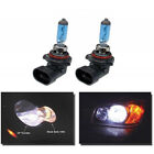 25-306323-1 Bulbs Super White Eckler