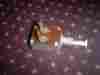 3147682 American Motors Amc Nash Rambler Back Up Light Switch 1956 Thru 1962 With Manual Transmission