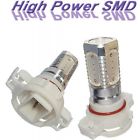33-302785-1 Bulbs Fog Amber Led Eckler
