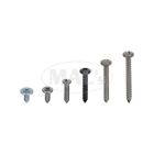 42-74485-1 Exterior Screw Kit Screws Ww Torino Eckler