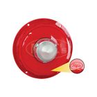 49-29536-1 Premier Quality Products Tail Light Lens With Fomoco Script Ford
