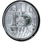 55-198499-1 El Camino Retro Headlight Bulbs Diamond Cut With Skull Eckler