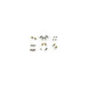 57-134592-1 Chevy Bulb Set Eckler