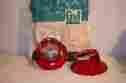 5955460 Gm Back Up Lamp Lens