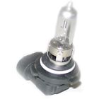 70-231501-1 Eckler S Porsche Light