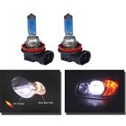 70-306345-1 Bulbs Super White Eckler