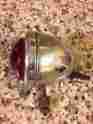 B-31chevrolet Pontiac Vintage Brake Back-up Light Guide Gm Accessory Harley 48