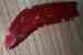 Efr-58 Ranger Light Pacer Tail 1958 Lens Edsel