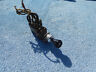 1994016 Ford Truck Headlight Switch