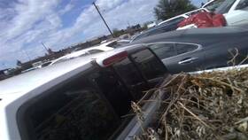 2659074p01 Nissan Used Center High Mount Stop Light Fits 1994 Pickup Grade A