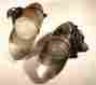 Pre-1929 Original Pair Of Fender Lights European Car Parts Restoration