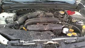 2298203 Subaru Used Center High Mount Stop Light Fits 2014 Forester Grade A
