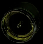 1965-65 Impala Backup Lens. Fixed Price $29.43.