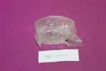 1953 1954 Ford Truck Parking Light Lens. Part FAE-13208-A.. Fixed Price $9.99.