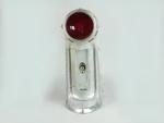 1958 Oldsmobile Eighty Tail Light Brake Stop Lamp Guide R3-58 Rear Rh. Fixed Price $492.23.