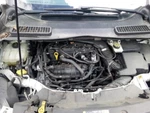 Used Center High Mount Stop Light Fits: 2014 Ford Escape Grade. Fixed Price $129.55.