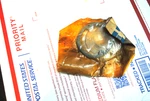 Nos Mopar 1966 67 68 69 70 71 Dodge Truck Back Up Lens 2808905. Fixed Price $49.95.