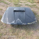 1999 To 2004 Ford Mustang Gt Hood (local Pickup, No Ship). Fixed Price $350.00.