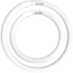 FC12T9/CW 32W And FC16T9/CW 40W Cool White Set Round Fluorescent Light Bulb 1.... Fixed Price $51.99.