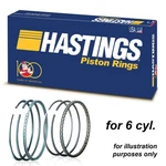 Hastings 2C5187 Piston Rings X6 Ford 4.0L V6 100.4 Std. Fixed Price $125.39.