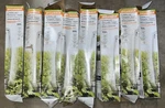 Set Of 8 Sylvania Lumalux 1000W Plantastar High Pressure Sodium Grow Light Bulbs. Fixed Price $59.99.