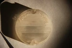 Fomoco Ford Backup Light Lens FB60A Fairlane Galaxie. Fixed Price $8.00.