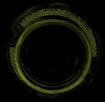 1963-63 Impala Backup Lens. Fixed Price $22.99.