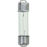 Courtesy Bulb Wagner Lighting 212-2. Fixed Price $11.13.