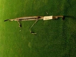 1995-1997 Ford Explorer Complete Tailgate 3RD Stop Brake Lamp Oem F67Z-13A613-BA. Fixed Price $135.00.