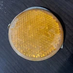 Amber Reflector Tiger-ey Hexflex Sae-a NO.1100 Trailer Truck 3.25 In MS35387-2. Fixed Price $8.00.
