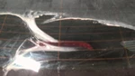 Used Center High Mount Stop Light Fits: 2022 Kia Forte Grade. Fixed Price $120.98.