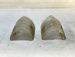 1954-1956 Buick Guide B4-56 Parking Light Lens Pair Oem Used. Fixed Price $19.99.