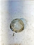 Nos 1950 Chevrolet Parking Lamp Lens Gm 5939299 Guide Glass Original. Fixed Price $19.99.