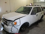 Used Center High Mount Stop Light Fits: 2010 Ford Escape Grade. Fixed Price $120.99.